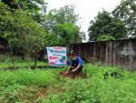 Celebration of World Environment Day in districts